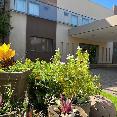 Maximus Business Hotel Ji-Paraná Екстериор снимка