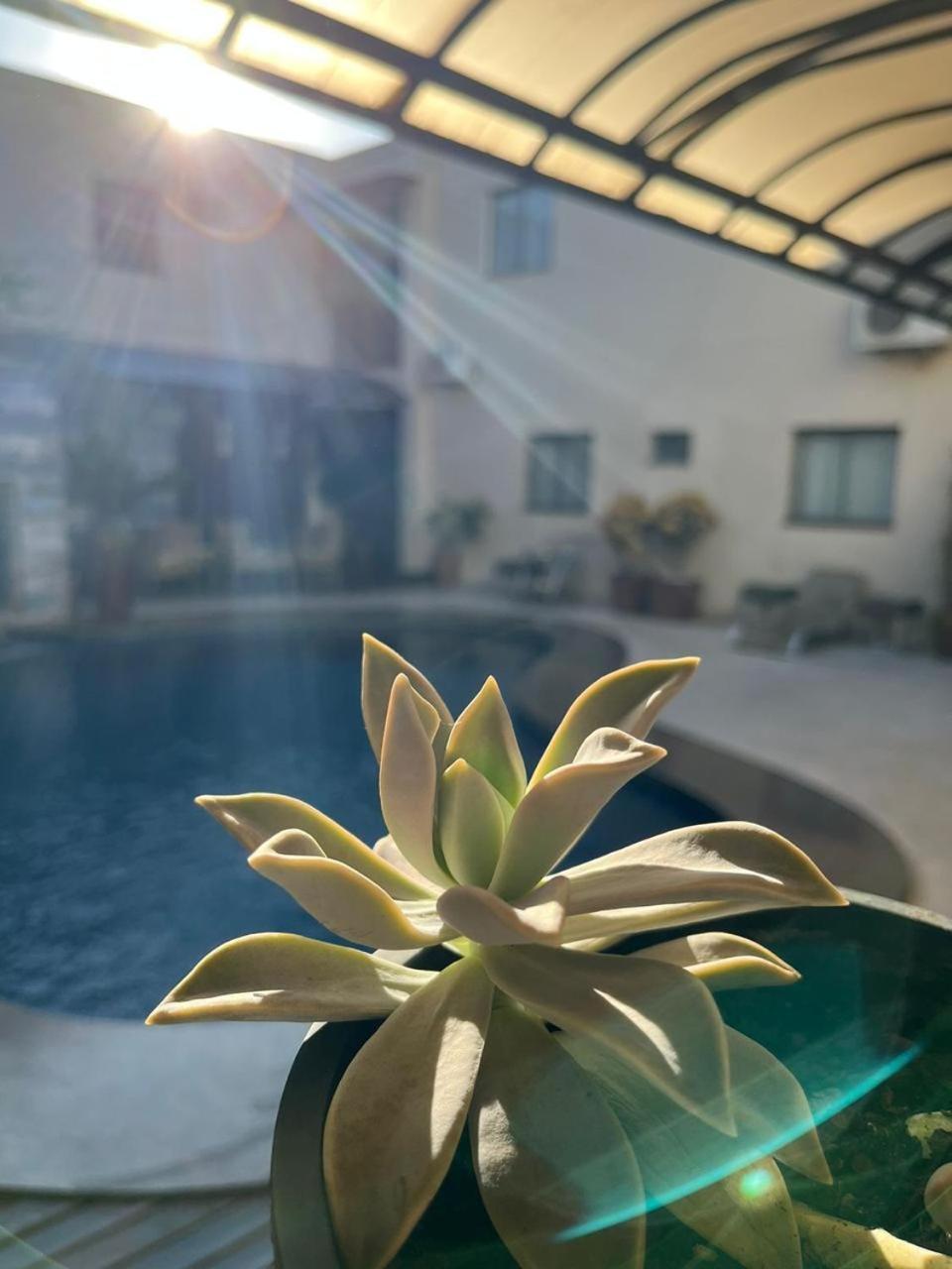 Maximus Business Hotel Ji-Paraná Екстериор снимка