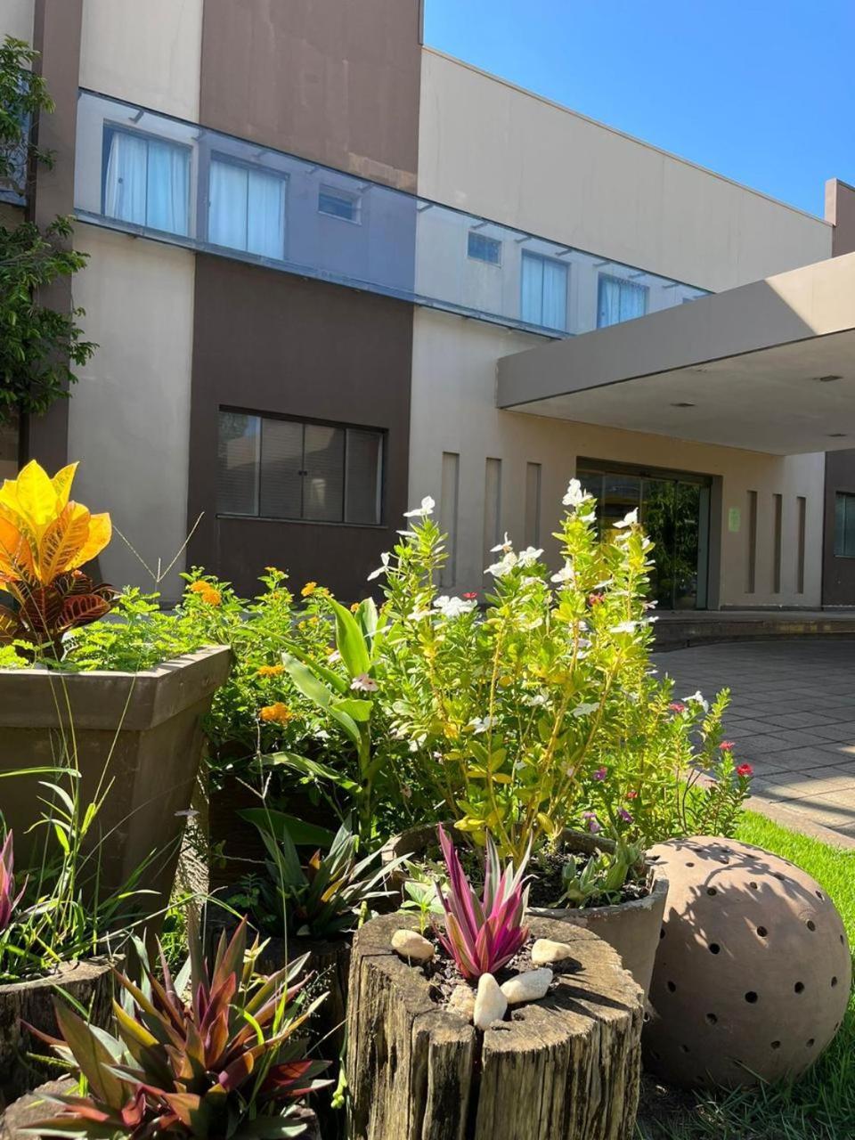 Maximus Business Hotel Ji-Paraná Екстериор снимка